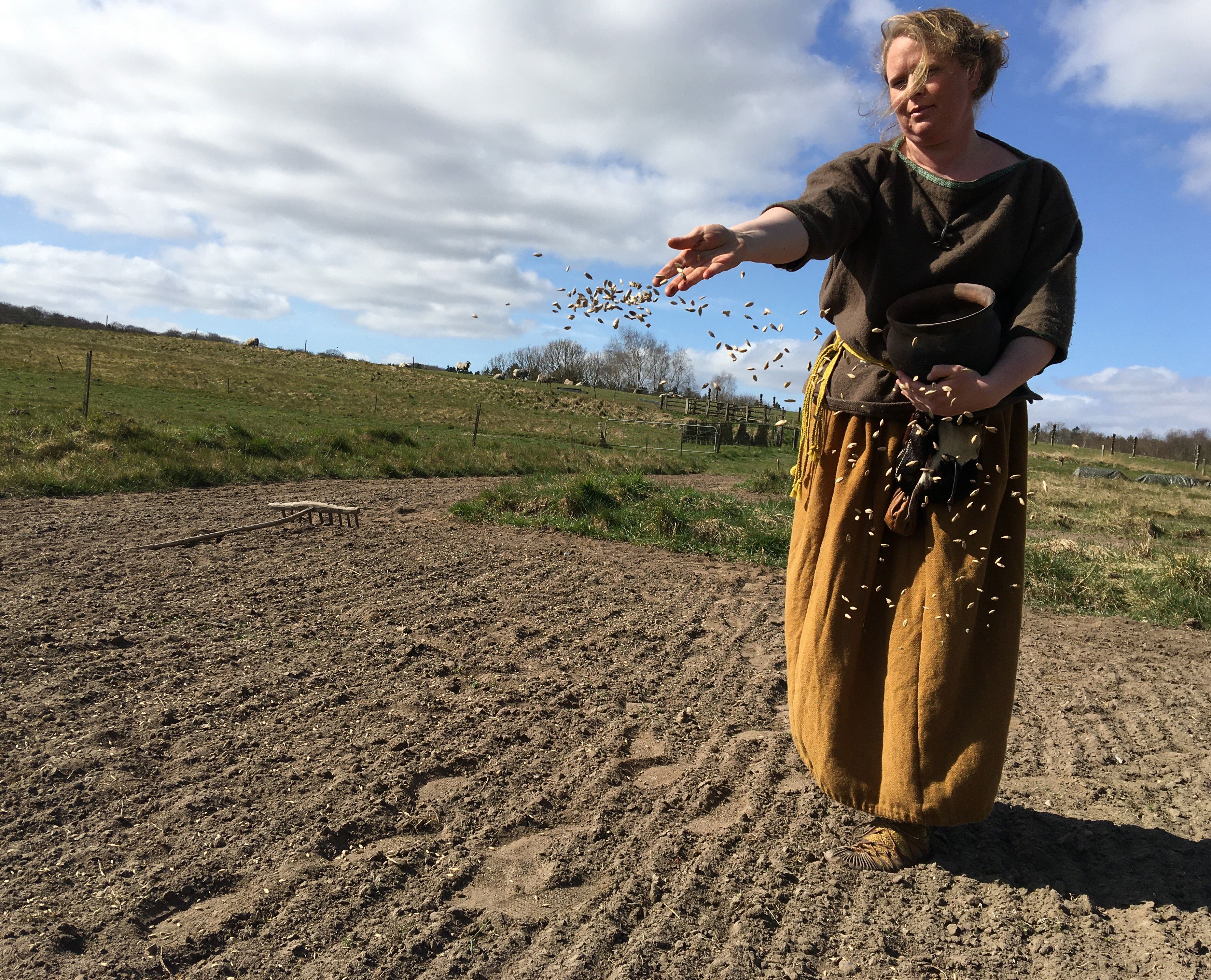 Jernalderkvinde sår på marken